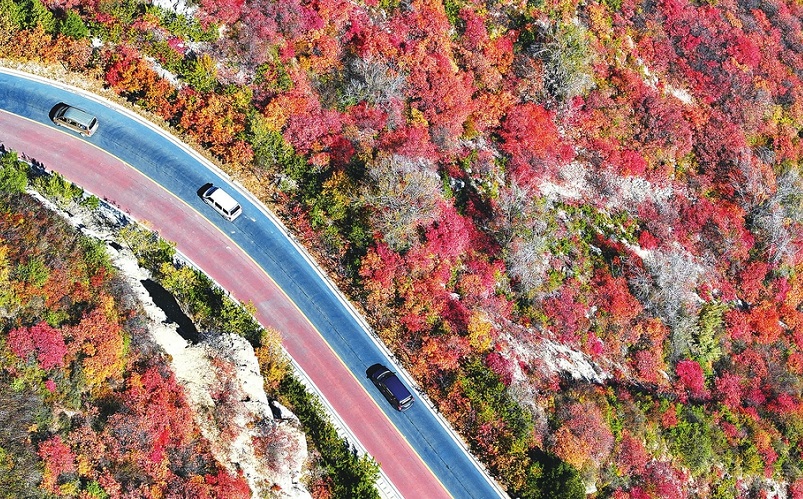 層林盡染秋意濃